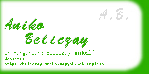 aniko beliczay business card